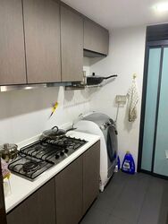 RiverParc Residence (D19), Condominium #514908621